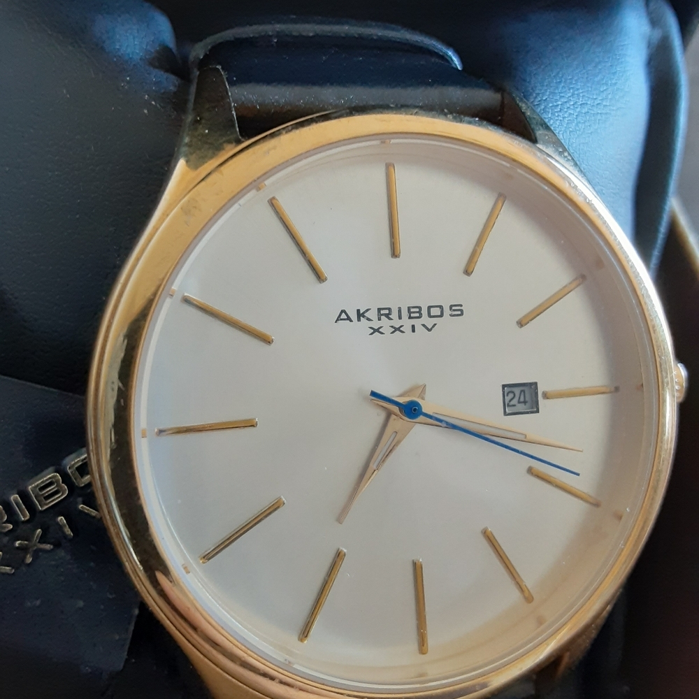 Akribos xxiv watch